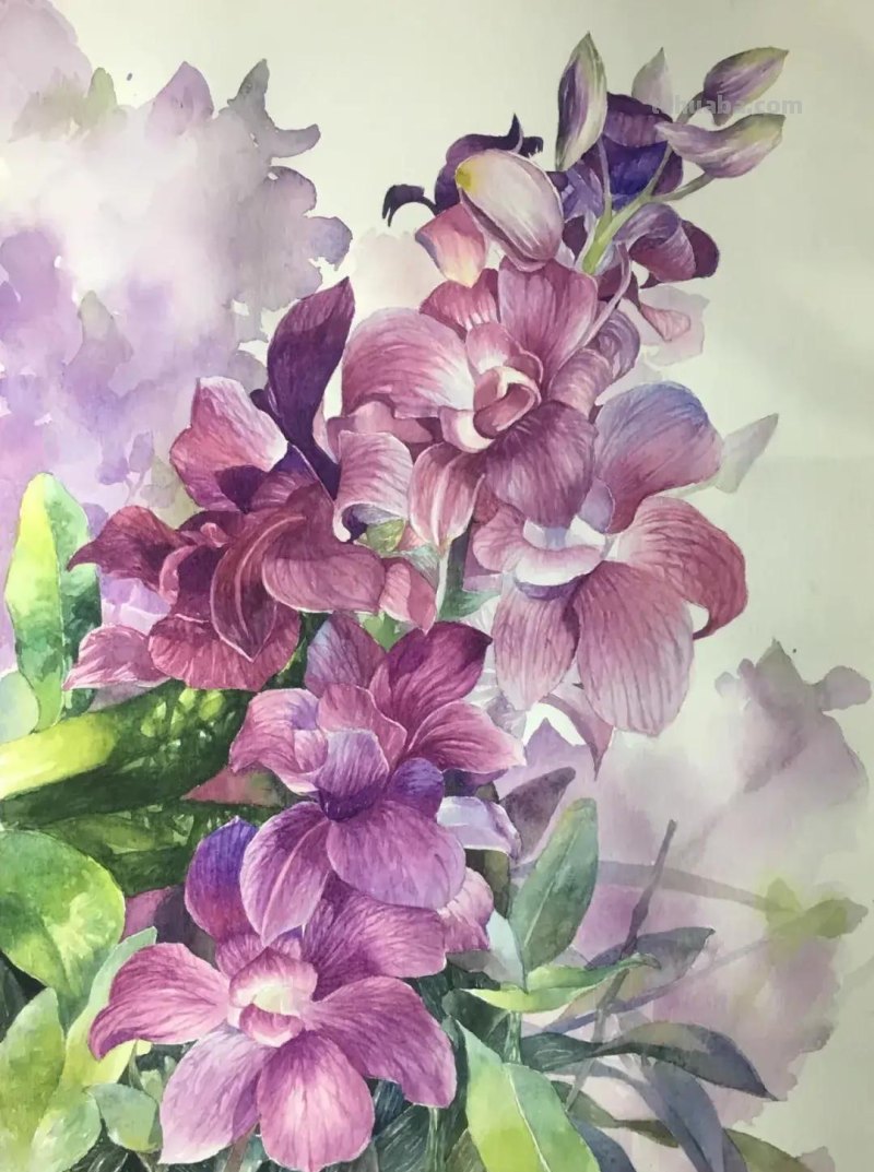 这些小动物在她的水彩画里活了，个个充满神韵！