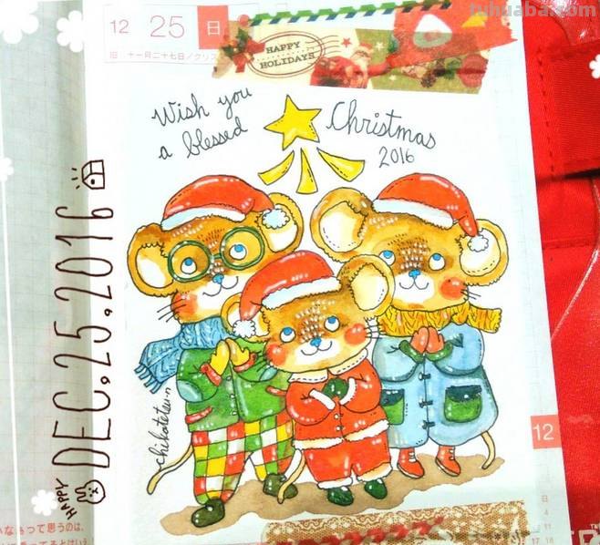 一组趣味又生动的水彩插画