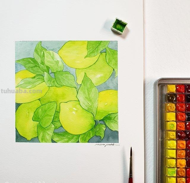 用艺术释放情感，用色彩渲染生活：清新的治愈系水彩花卉插画