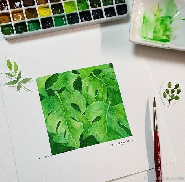 用艺术释放情感，用色彩渲染生活：清新的治愈系水彩花卉插画