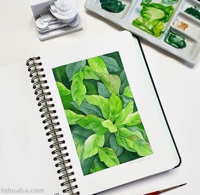 用艺术释放情感，用色彩渲染生活：清新的治愈系水彩花卉插画