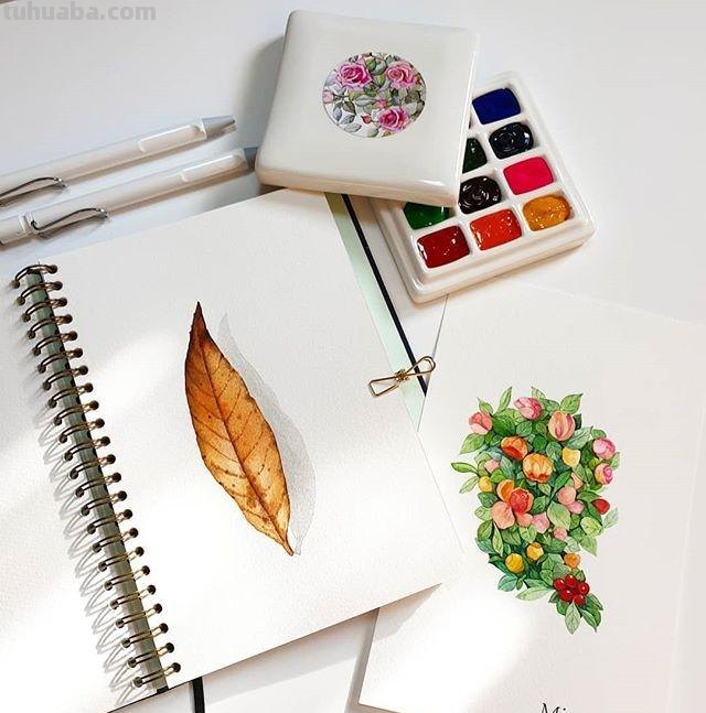 用艺术释放情感，用色彩渲染生活：清新的治愈系水彩花卉插画