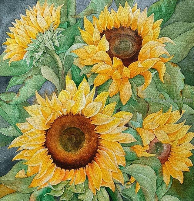 用艺术释放情感，用色彩渲染生活：清新的治愈系水彩花卉插画