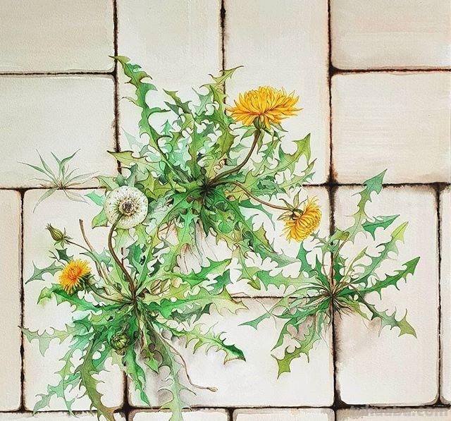 用艺术释放情感，用色彩渲染生活：清新的治愈系水彩花卉插画