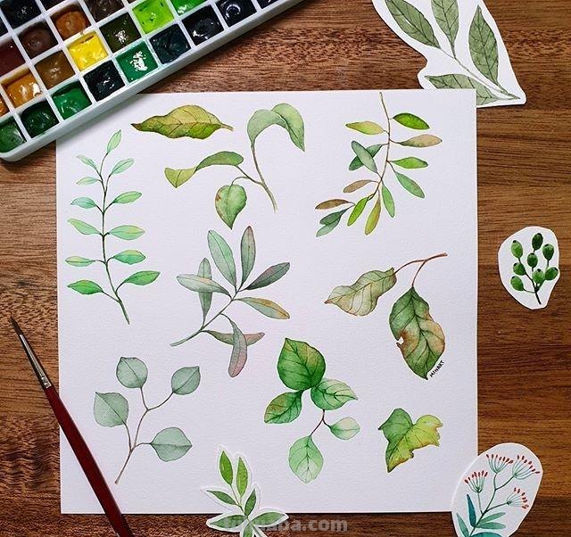 用艺术释放情感，用色彩渲染生活：清新的治愈系水彩花卉插画