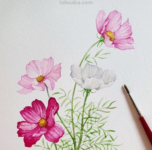 用艺术释放情感，用色彩渲染生活：清新的治愈系水彩花卉插画