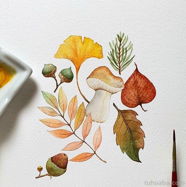 用艺术释放情感，用色彩渲染生活：清新的治愈系水彩花卉插画