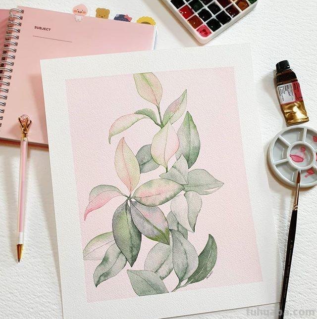 用艺术释放情感，用色彩渲染生活：清新的治愈系水彩花卉插画