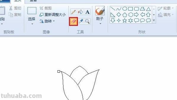 不用彩铅怎么画植物(不用彩铅怎么画植物图片) 不用彩铅怎么画植物(不用彩铅怎么画植物图片)