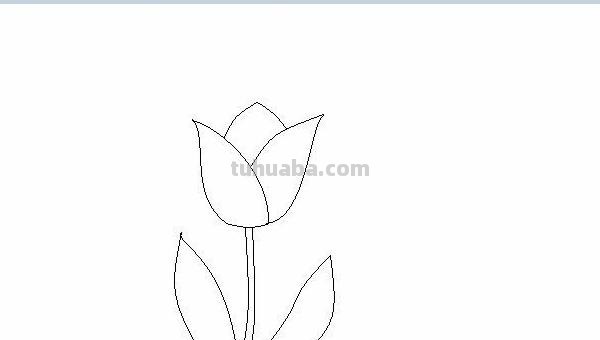 不用彩铅怎么画植物(不用彩铅怎么画植物图片) 不用彩铅怎么画植物(不用彩铅怎么画植物图片)