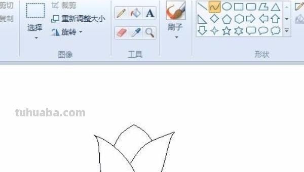 不用彩铅怎么画植物(不用彩铅怎么画植物图片) 不用彩铅怎么画植物(不用彩铅怎么画植物图片)