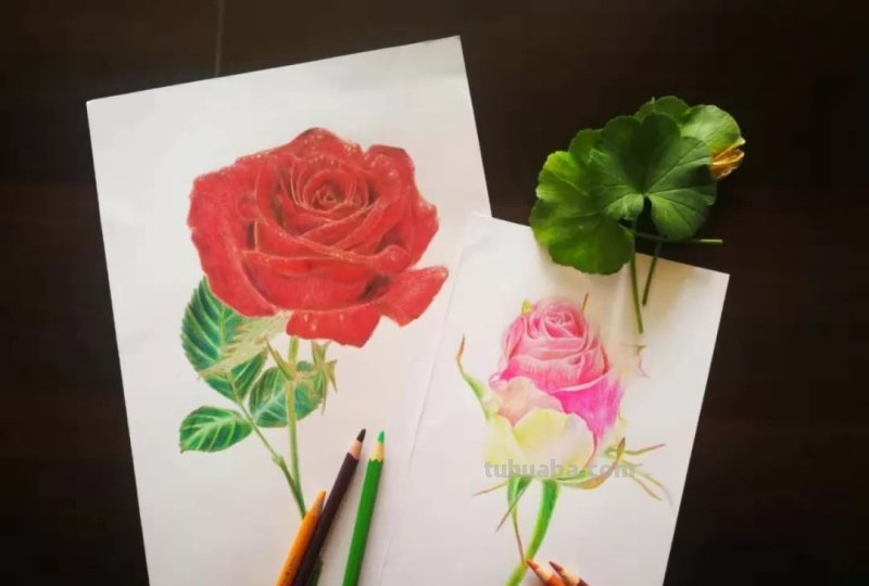 初学彩铅画什么好(初学彩铅画什么好看) 初学彩铅画什么好(初学彩铅画什么好看)