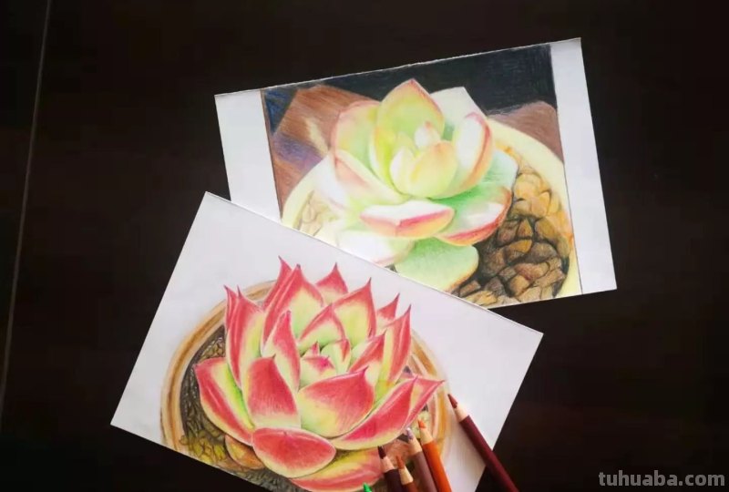 初学彩铅画什么好(初学彩铅画什么好看) 初学彩铅画什么好(初学彩铅画什么好看)