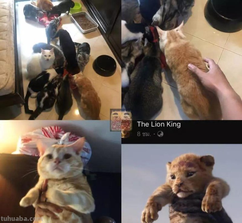 这些不露底裤的cosplay,竟然让我欲罢不能 这些不露底裤的cosplay,竟然让我欲罢不能