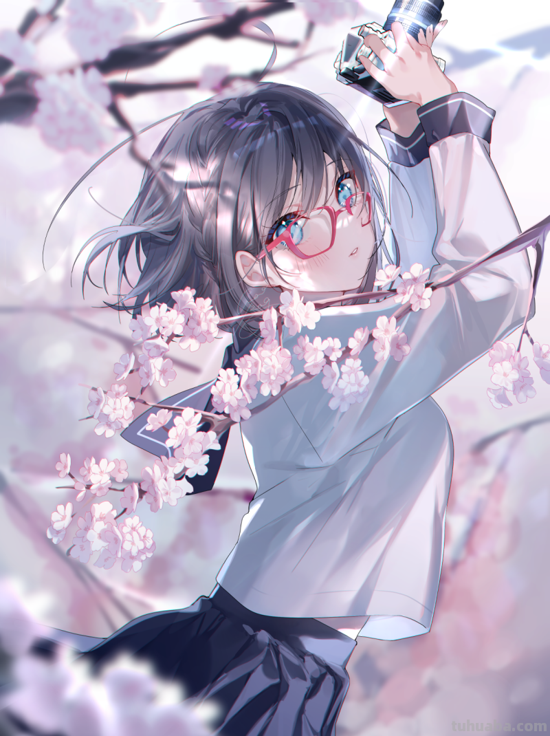 P站综合今日排行榜2022年9月16日壁纸美图分享