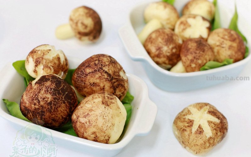 蘑菇是假，馒头是真，萌翻了！一次惊喜的美食DIY