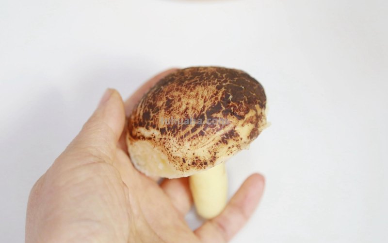 蘑菇是假，馒头是真，萌翻了！一次惊喜的美食DIY