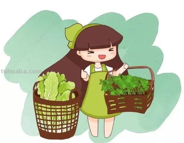 不用院子，咱家阳台也能种菜，长得比吃的还快