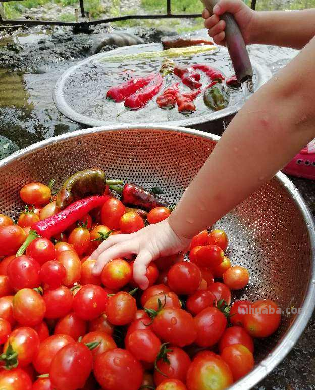 家里养点水果蔬菜，两个月就能吃，种植方法还特简单