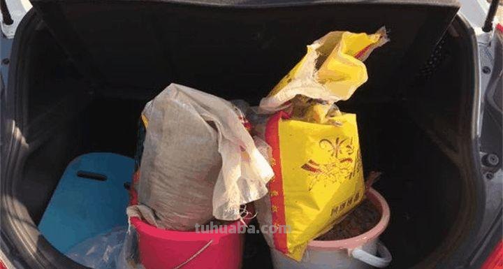 家里种这7种菜,20天割一茬,吃不完的菜都开花了! 家里种这7种菜,20天割一茬,吃不完的菜都开花了!