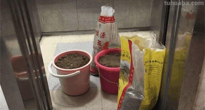 家里种这7种菜,20天割一茬,吃不完的菜都开花了! 家里种这7种菜,20天割一茬,吃不完的菜都开花了!