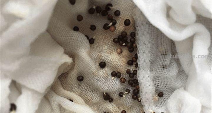 家里种这7种菜,20天割一茬,吃不完的菜都开花了! 家里种这7种菜,20天割一茬,吃不完的菜都开花了!