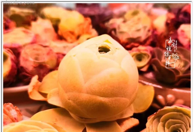 多肉，照进琐碎生活里的那道光！