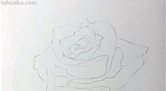 彩铅怎么画动漫玫瑰（彩铅怎么画动漫玫瑰花）