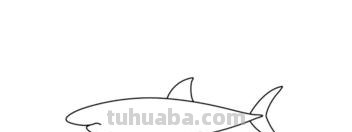 简笔画鲨鱼怎么画(简笔画鲨鱼怎么画最形象) 简笔画鲨鱼怎么画(简笔画鲨鱼怎么画最形象)