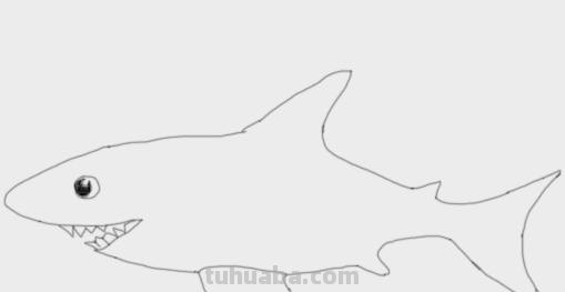 简笔画鲨鱼怎么画(简笔画鲨鱼怎么画最形象) 简笔画鲨鱼怎么画(简笔画鲨鱼怎么画最形象)