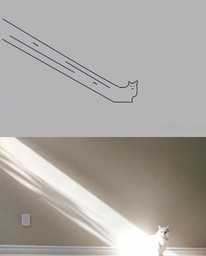 沙雕又传神！那些意想不到的宠物简笔画