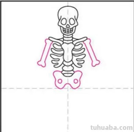 简笔画骨头怎么画(简笔画骨头怎么画好看) 简笔画骨头怎么画(简笔画骨头怎么画好看)