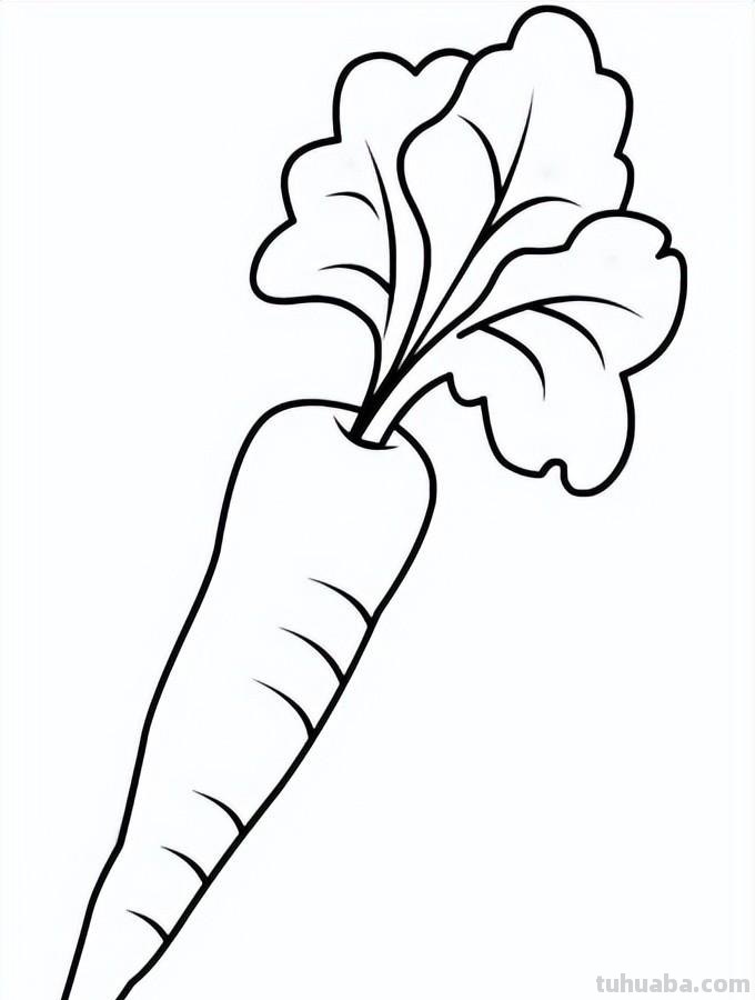 蔬菜的简笔画线稿，收藏备用