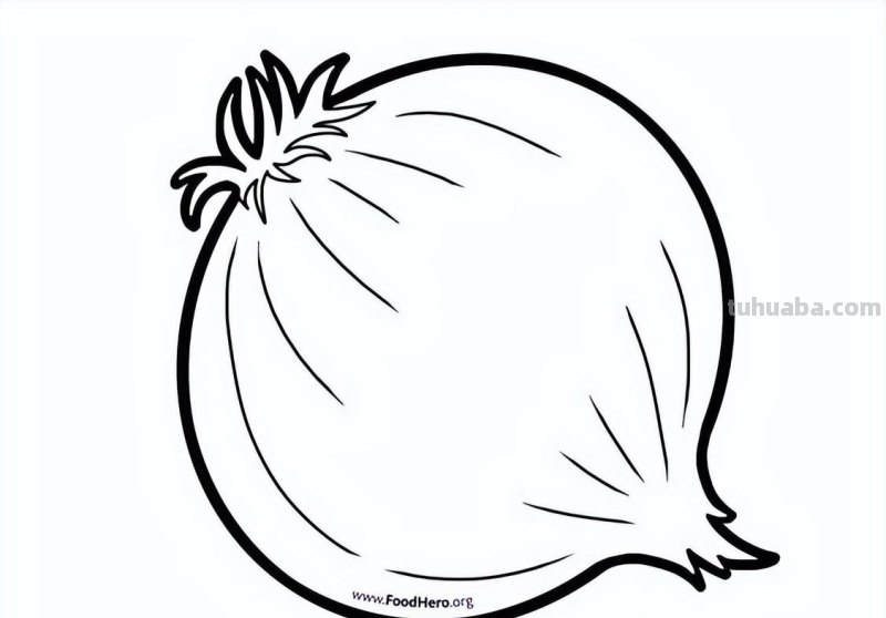 蔬菜的简笔画线稿，收藏备用