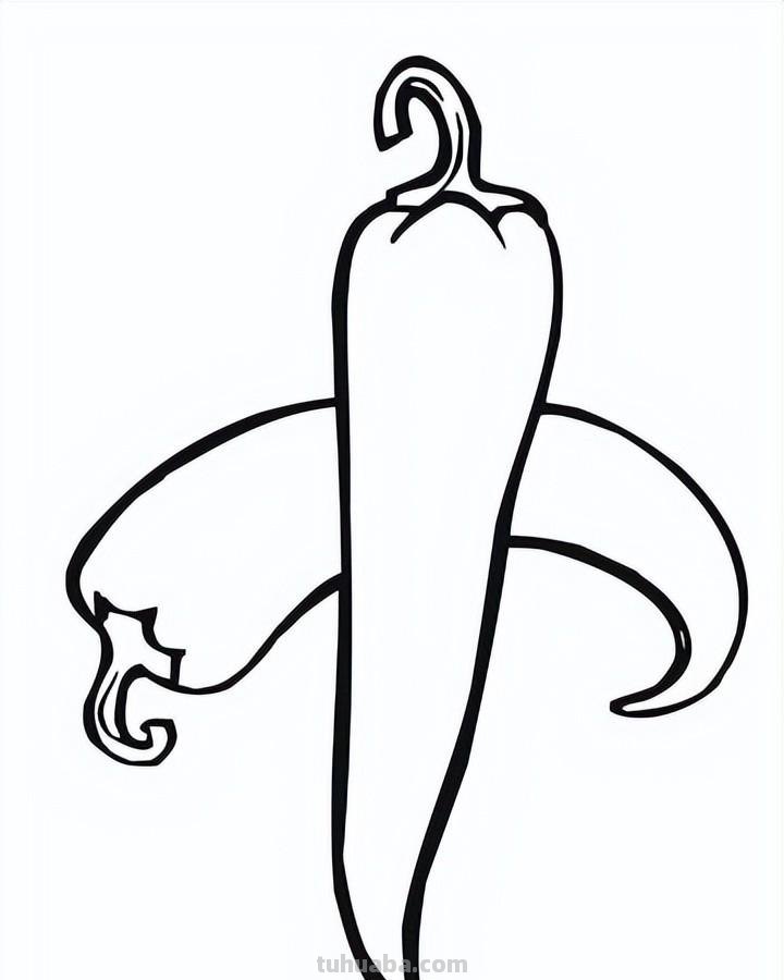 蔬菜的简笔画线稿，收藏备用