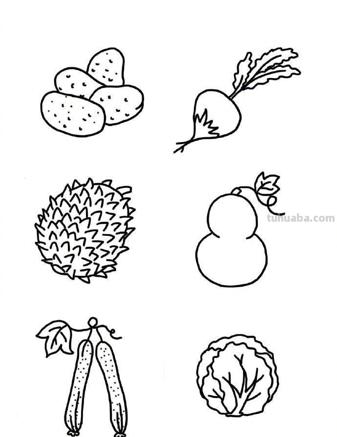 超多的水果蔬菜瓜果简笔画