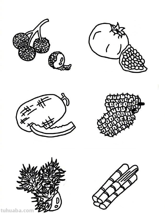 超多的水果蔬菜瓜果简笔画