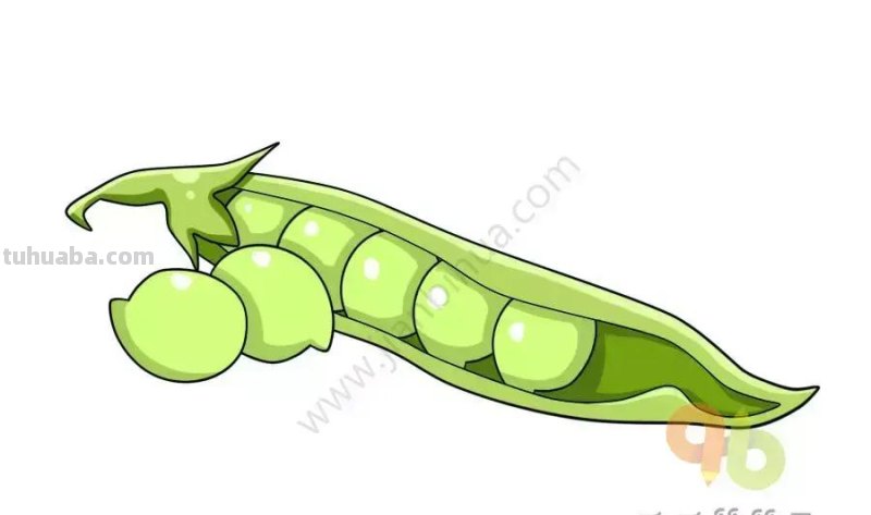教你3分钟画出各种可爱的蔬菜，简单易学，快点收藏吧！
