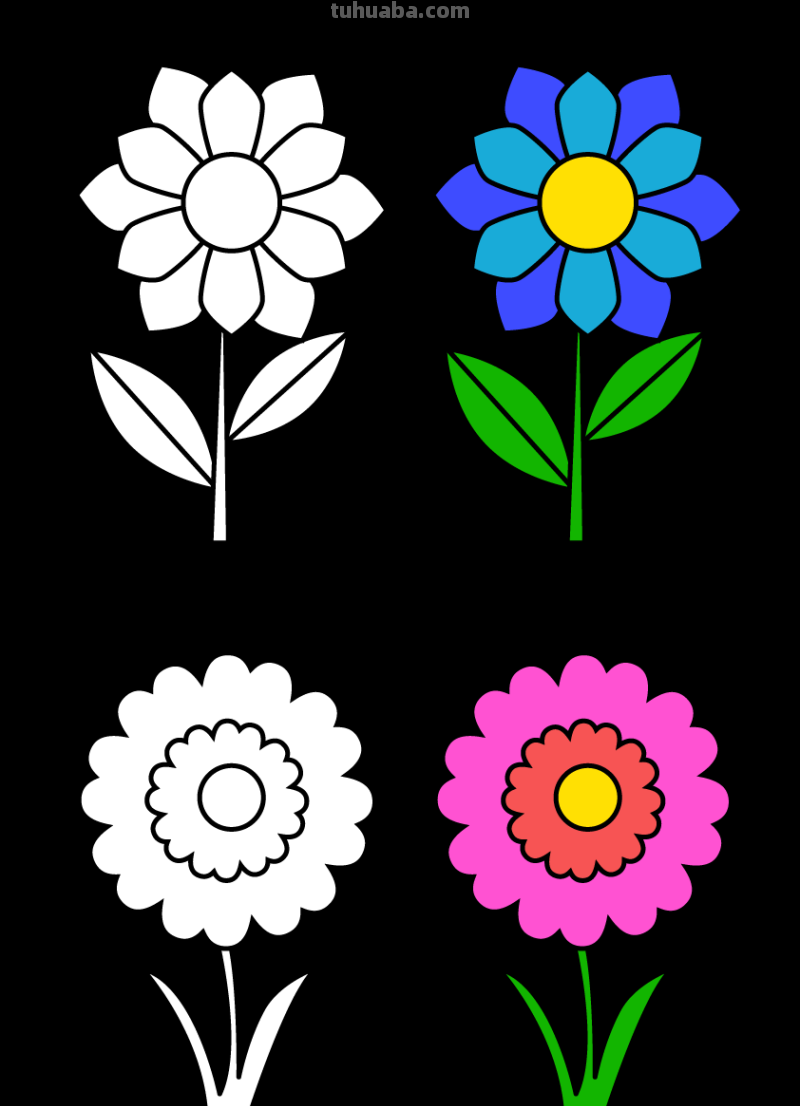 16种不同花朵的简笔画素材，初学者，简单实用