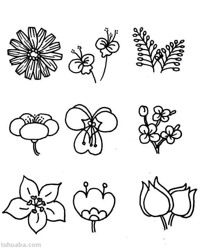 54种小花简笔画，种类齐全，收藏好，寒假学习的好资料