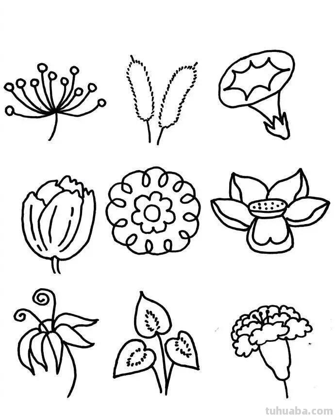 54种小花简笔画，种类齐全，收藏好，寒假学习的好资料