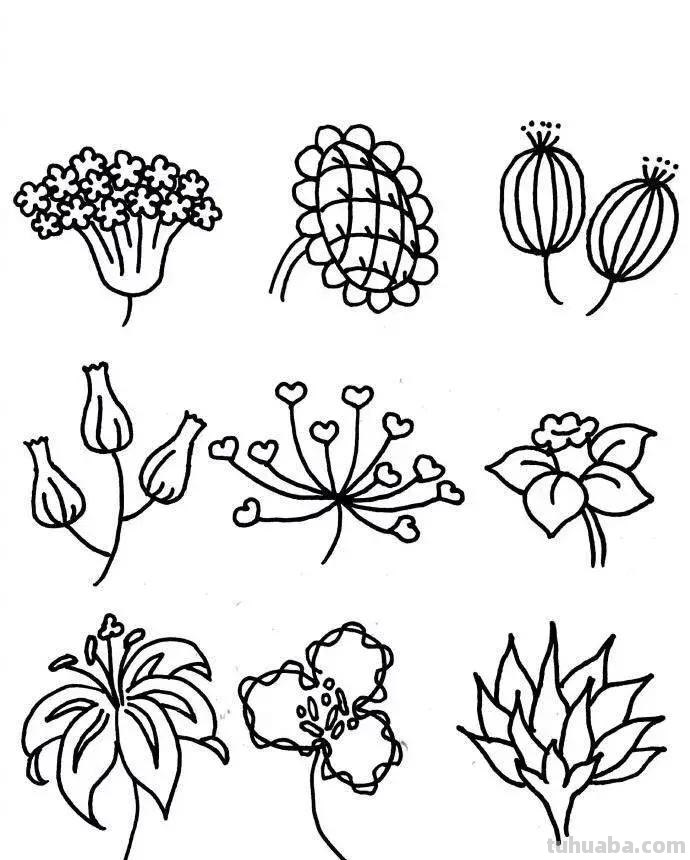 54种小花简笔画，种类齐全，收藏好，寒假学习的好资料