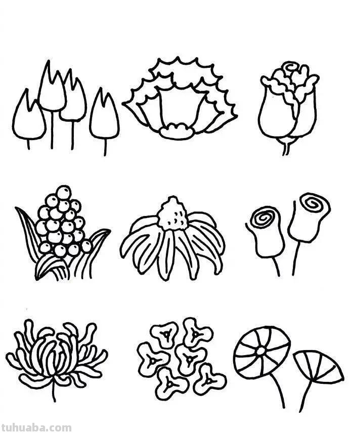 54种小花简笔画，种类齐全，收藏好，寒假学习的好资料