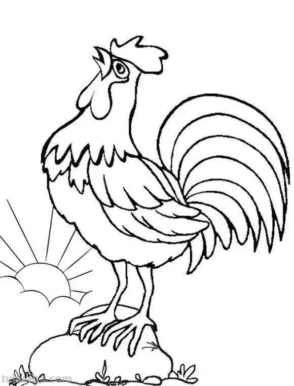 公鸡简笔画线稿资料图谱