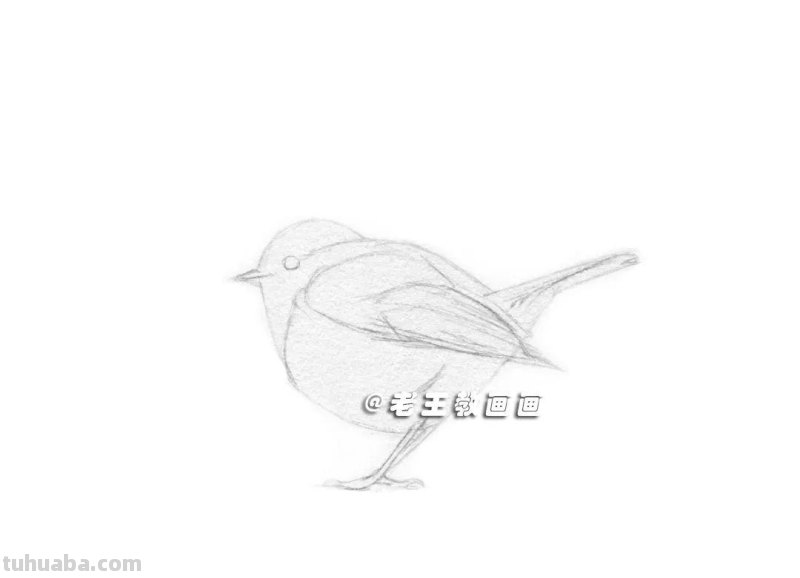 原来画一只鸟儿,这么简单! 原来画一只鸟儿,这么简单!