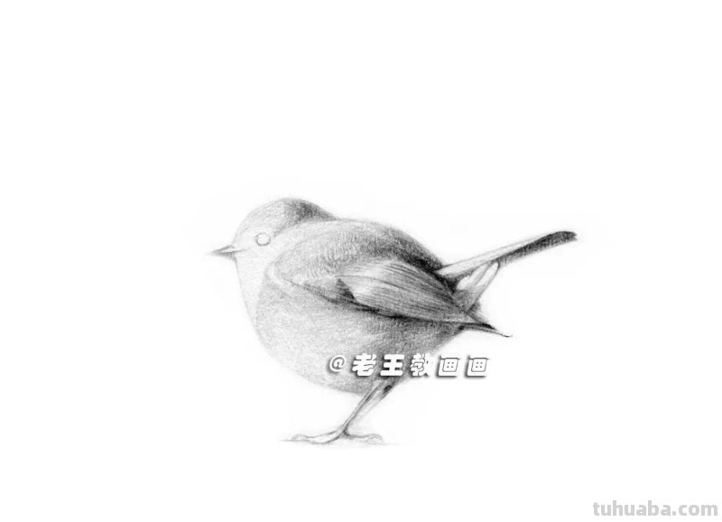 原来画一只鸟儿,这么简单! 原来画一只鸟儿,这么简单!