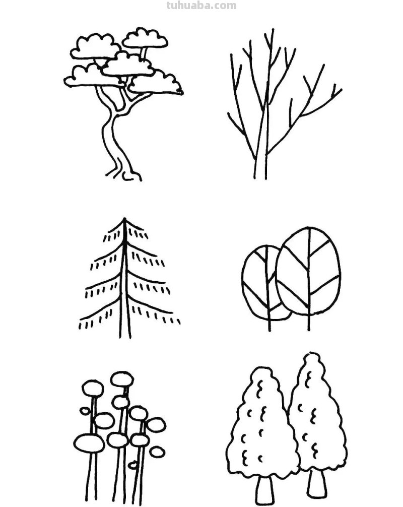 54种植物简笔画大全，学会这些，再也不担心不会画植物了，干货