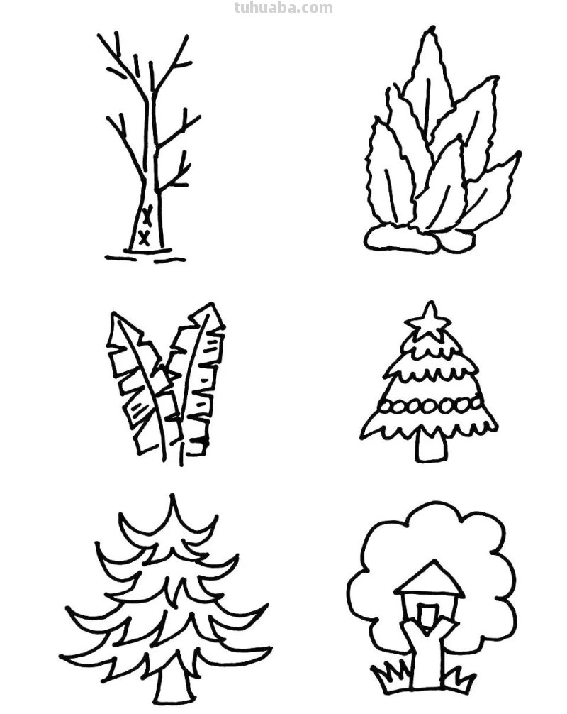 54种植物简笔画大全，学会这些，再也不担心不会画植物了，干货