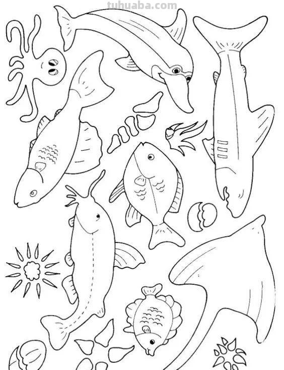 20种海洋生物的手绘线稿图谱