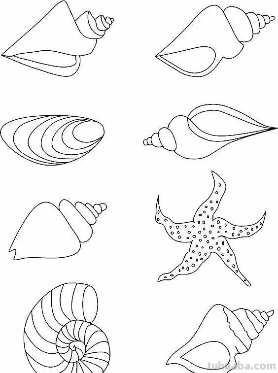 20种海洋生物的手绘线稿图谱